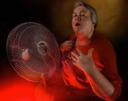 herbal remedies for hot flashes